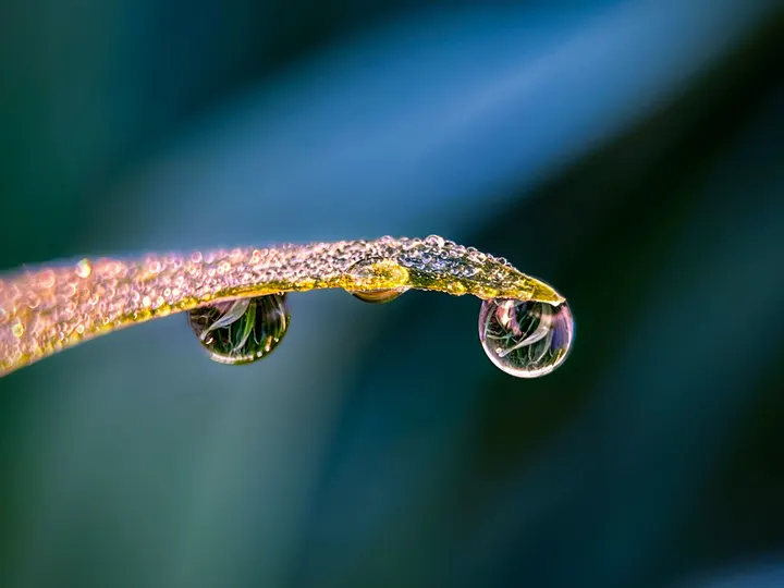 水滴