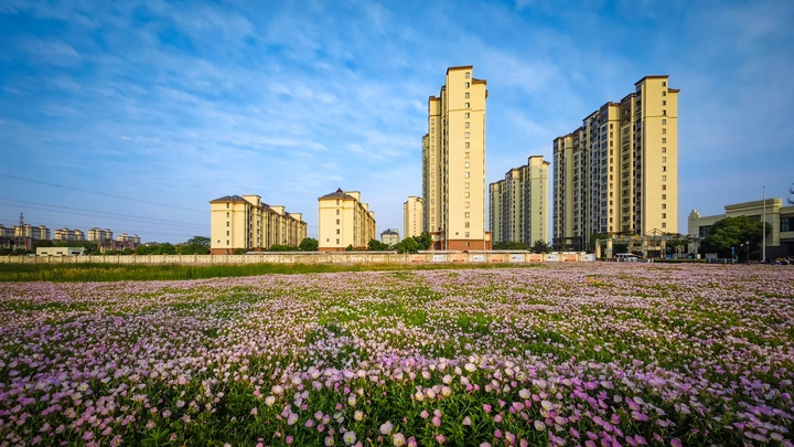 花园