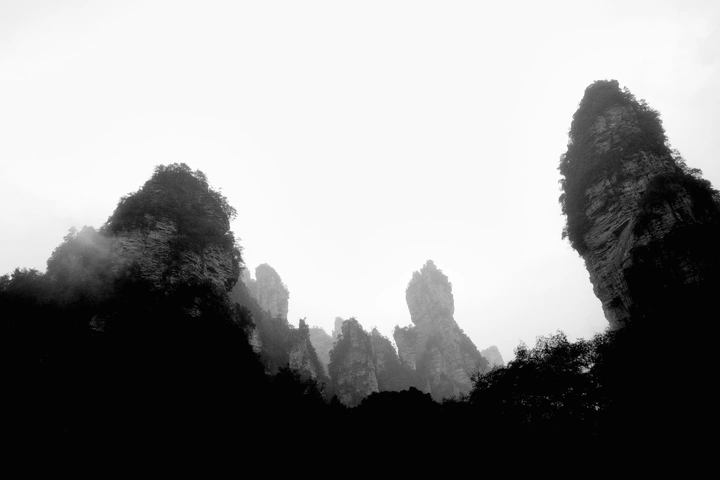 拍我想拍，见我所见