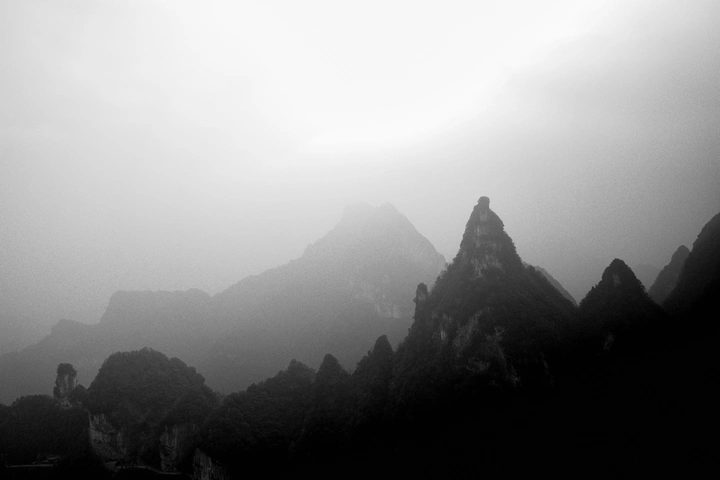拍我想拍，见我所见