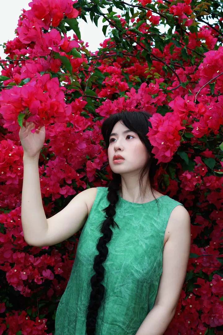 三角梅花开的季节