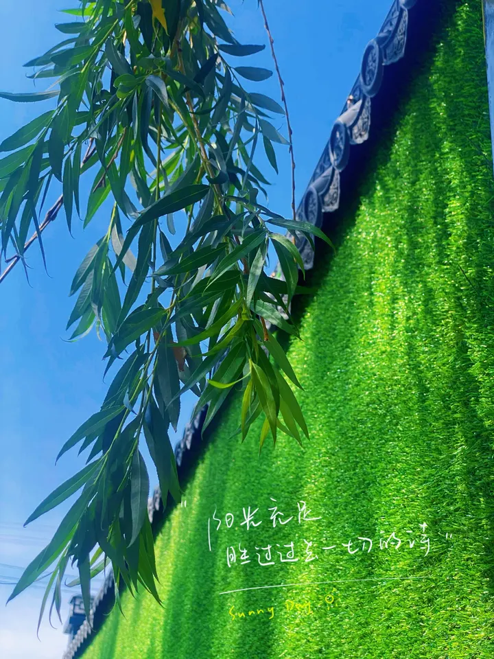 绿墙柳影