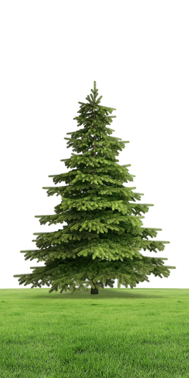 原创简约圣诞树