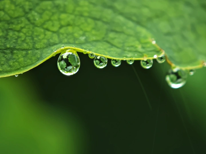雨滴变奏曲