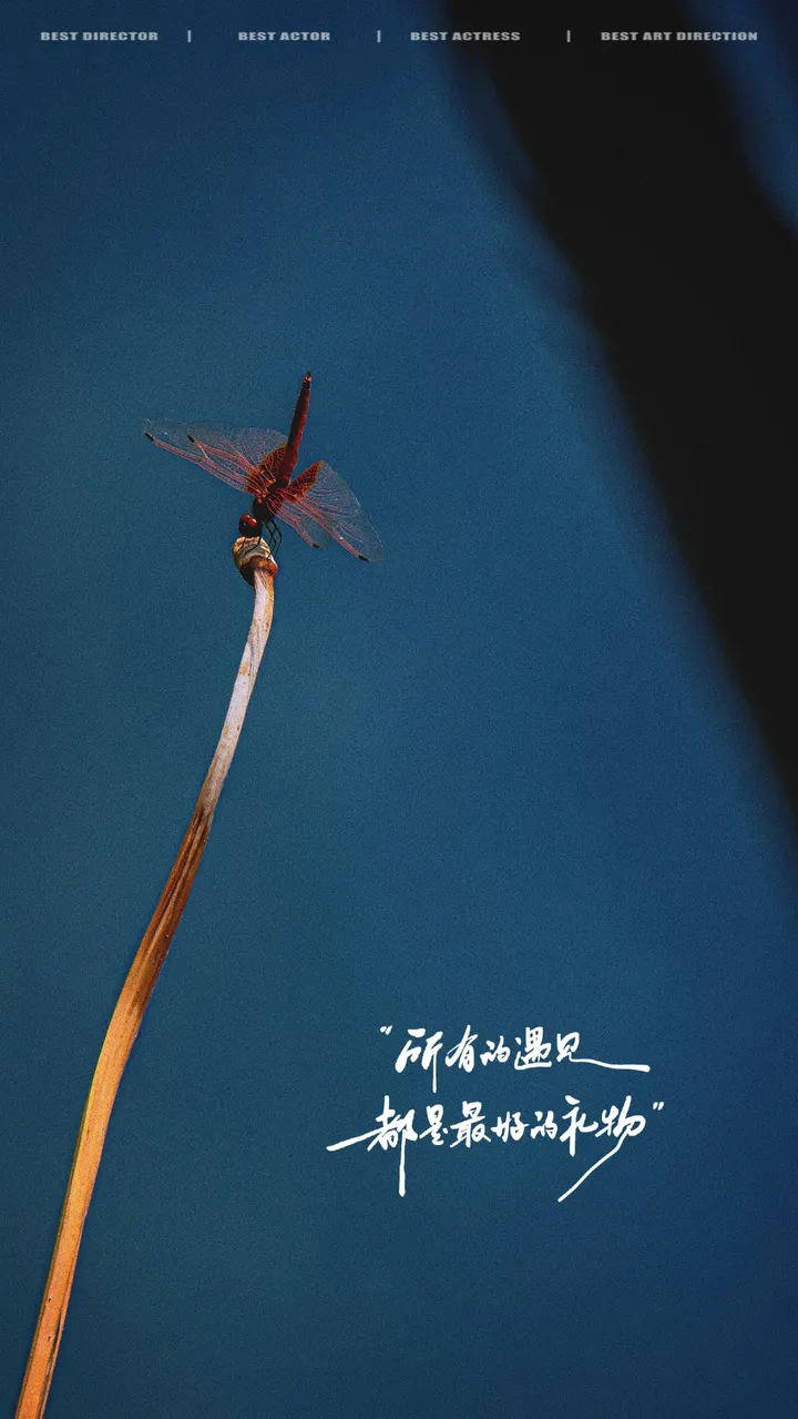 礼物