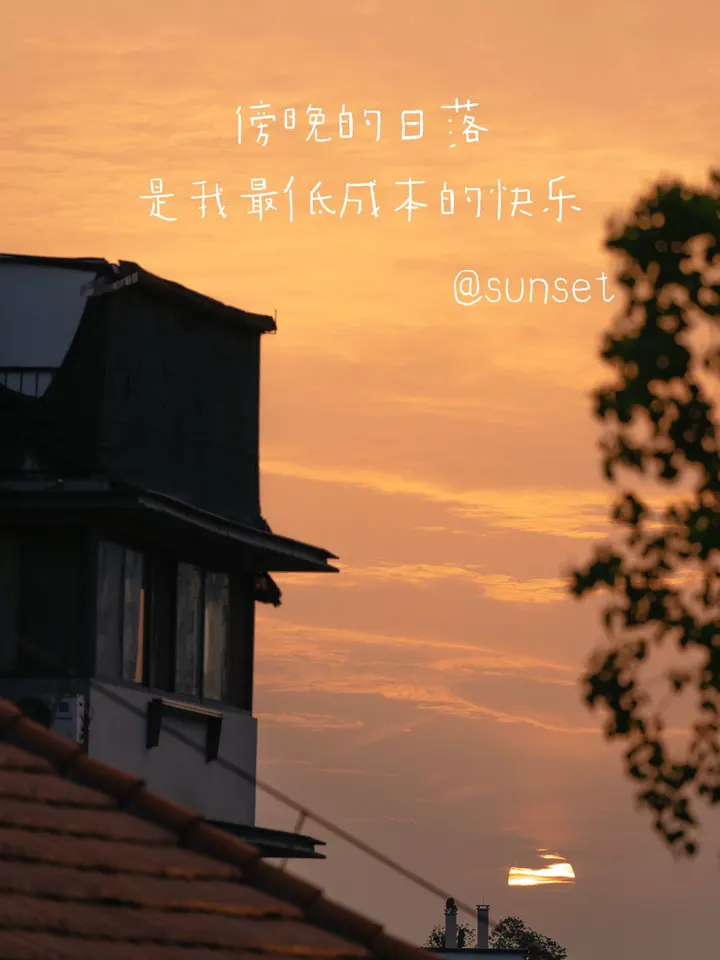 最低成本的快乐