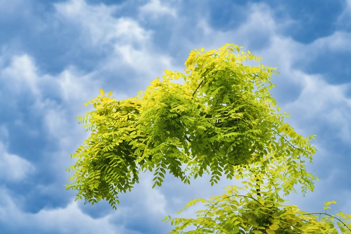 风雨过后