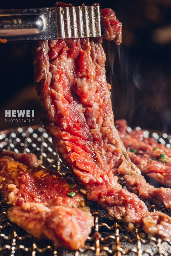 肉食动物