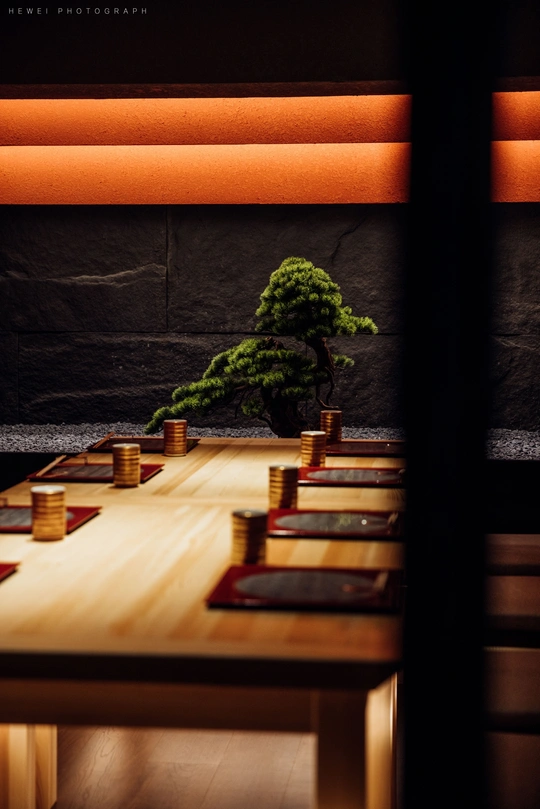 上面有一棵小树的桌子