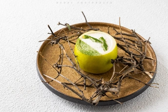 一个小盘子 里面有一个绿苹果和一片柠檬 放在鸟巢里。