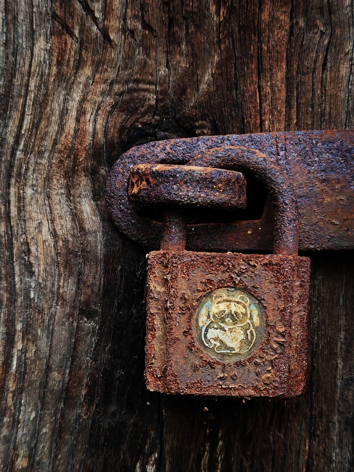 霜降偶遇旧时光！