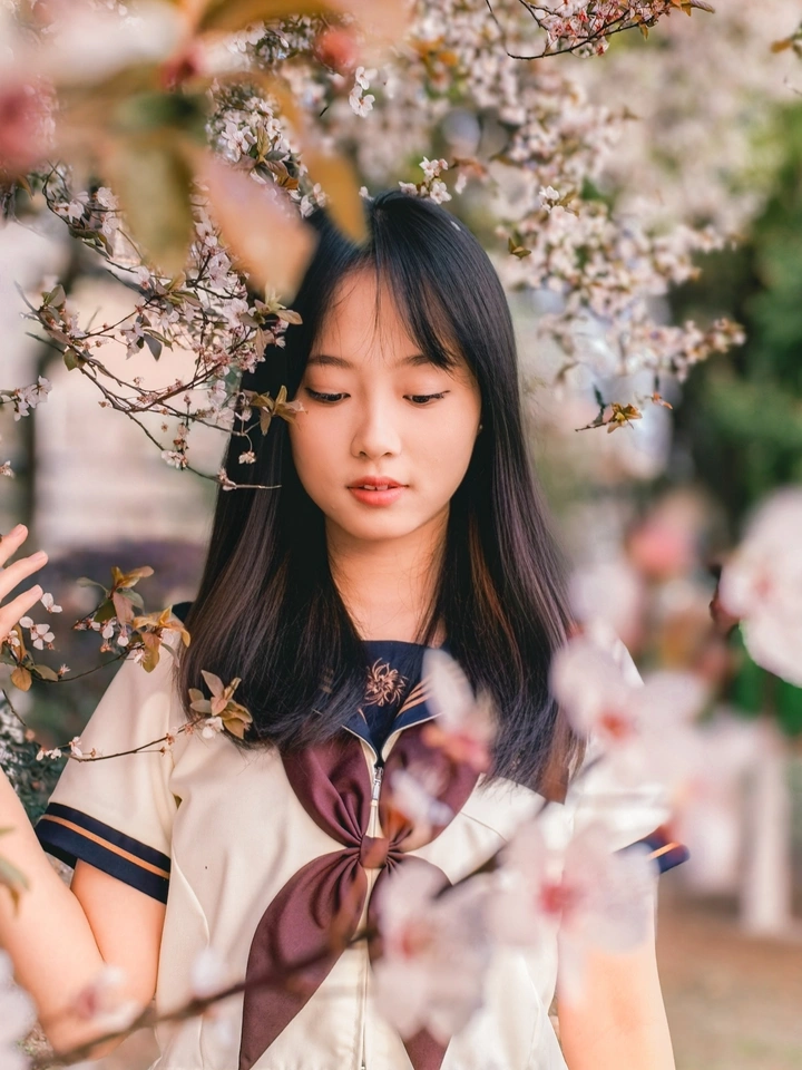 花儿朵朵