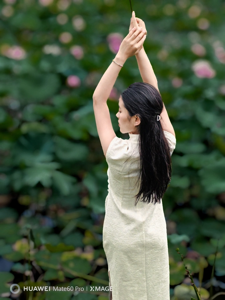 「白衣执叶，静赏荷香」