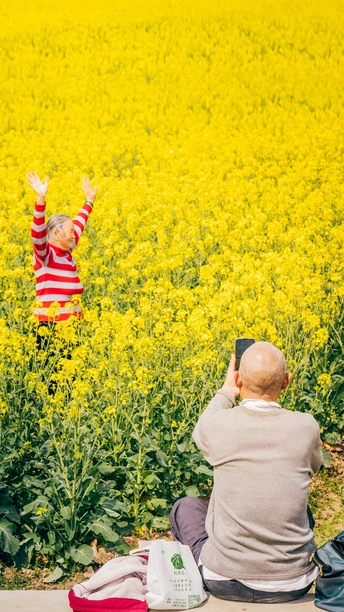 一位年轻女孩坐在中间 用手机拍摄一片黄花的田野。