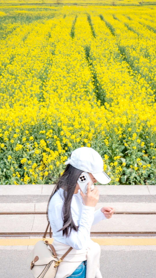 一位坐在黄花盛开的花丛中央的长椅上的女人正在用手机通话并拍照。