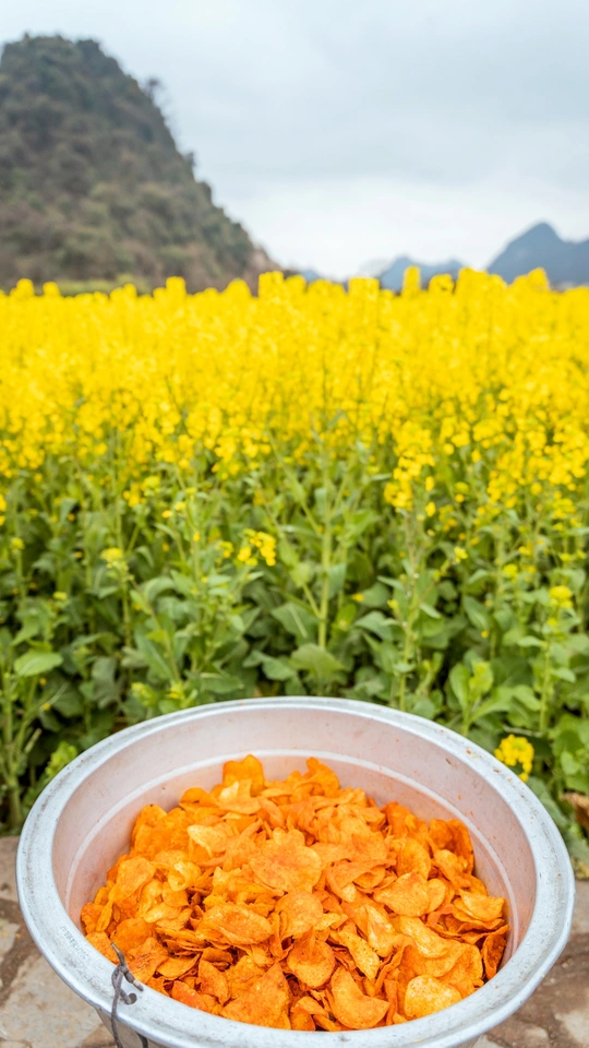 一旁是黄花的田地 旁边有一个装满食物的桶。