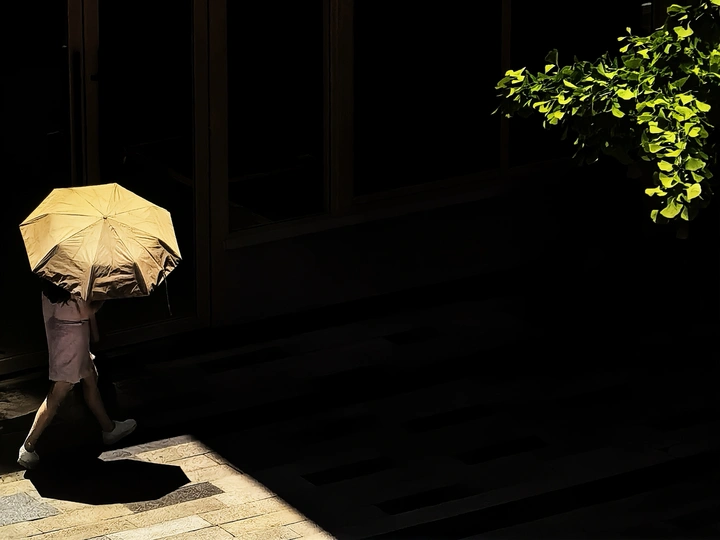 《荫》