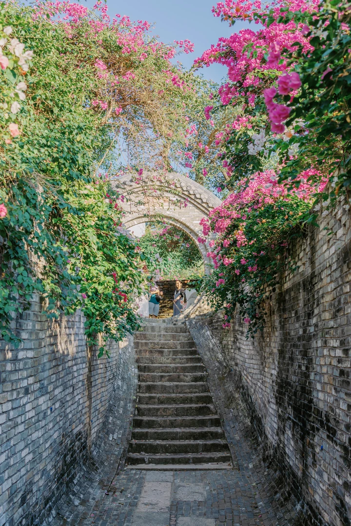 一座全是各色三角梅的花园