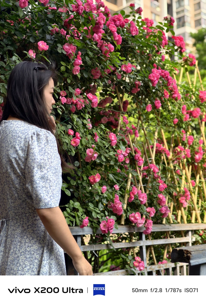 院子里的花开了
