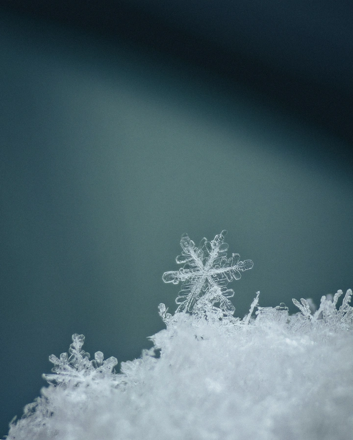 雪精灵