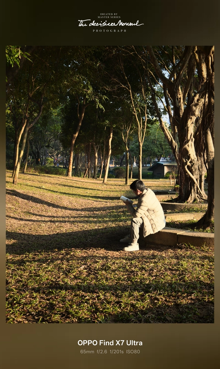 静坐树下读，岁月静好时