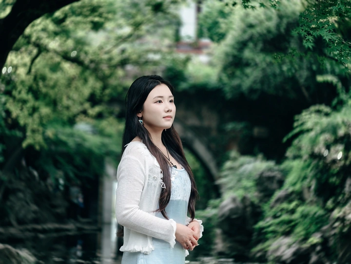 柳浪闻莺万柳黄莺拍照圣地
