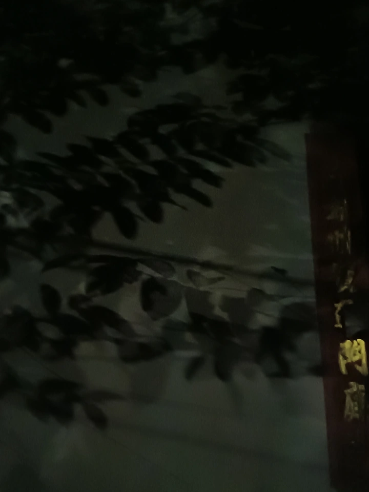 疏影