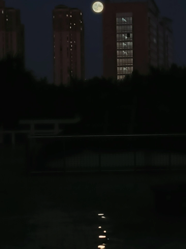 月似珍珠