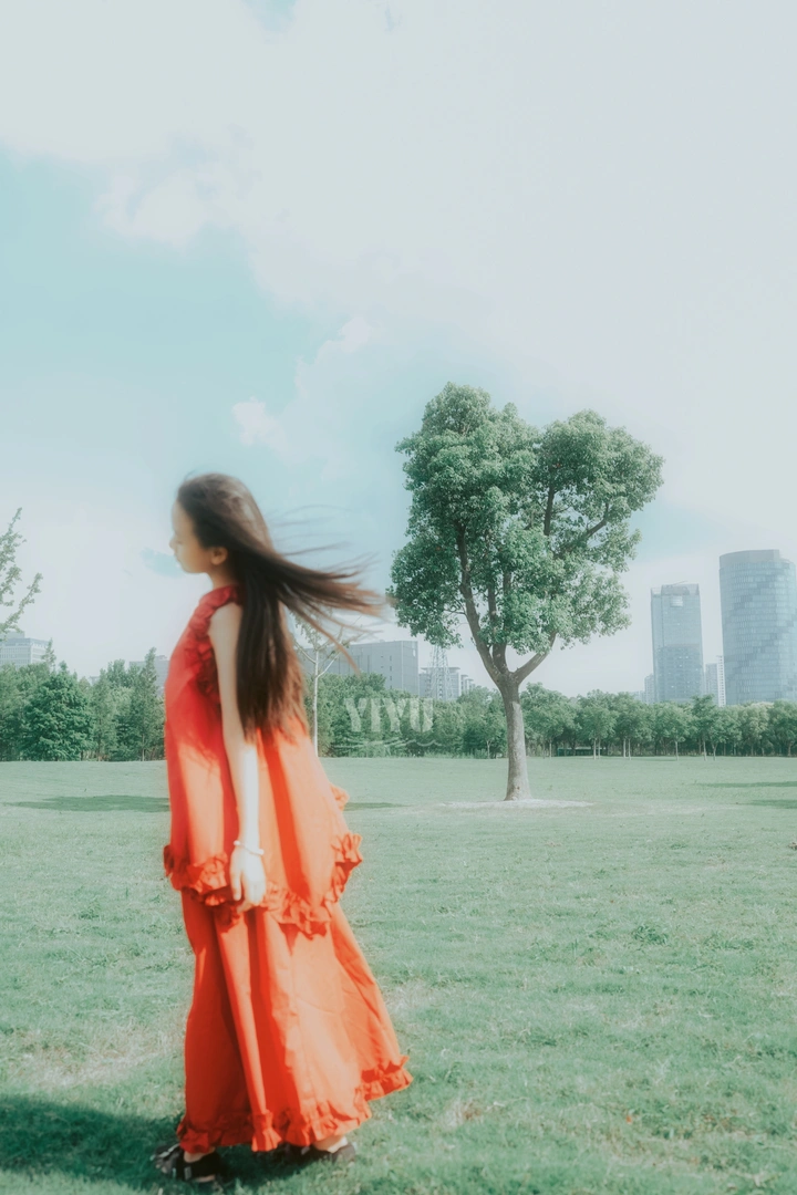 红裙跃夏 向光生长
