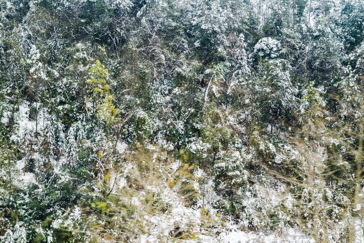 2022的第一场雪