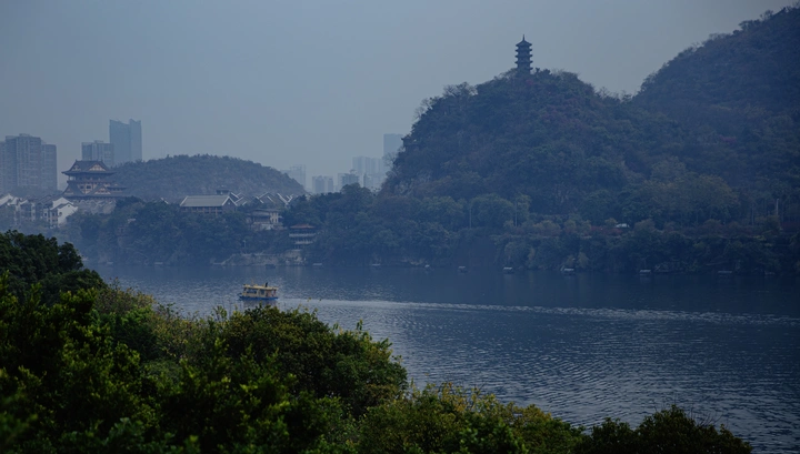 悠悠柳江水