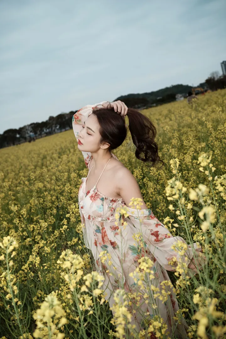 油菜花