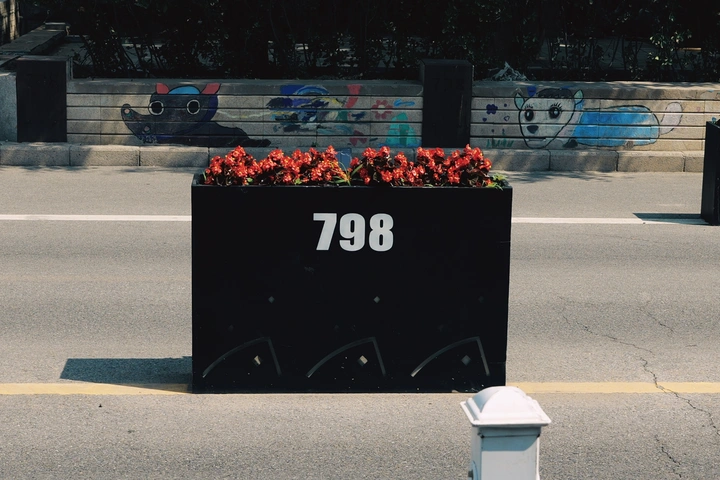 北京798