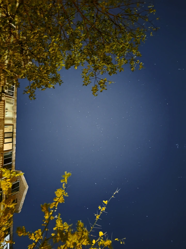 大风后的城市星空