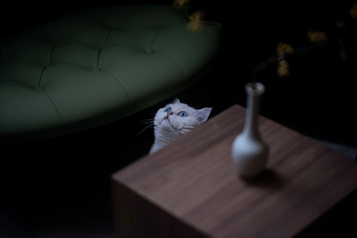 蓝眼睛
