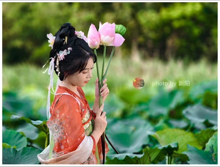 汉服＆荷花🪷
