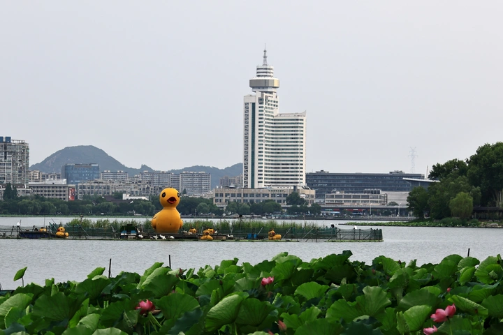 南京玄武湖的初夏清晨