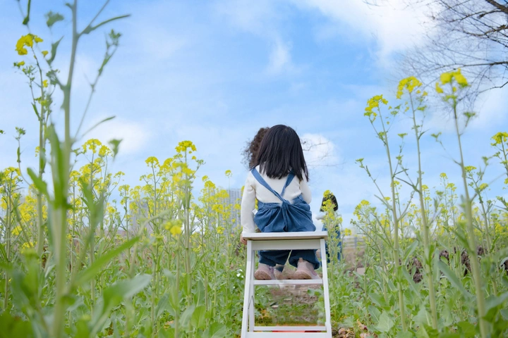 春日童梦·油菜花海