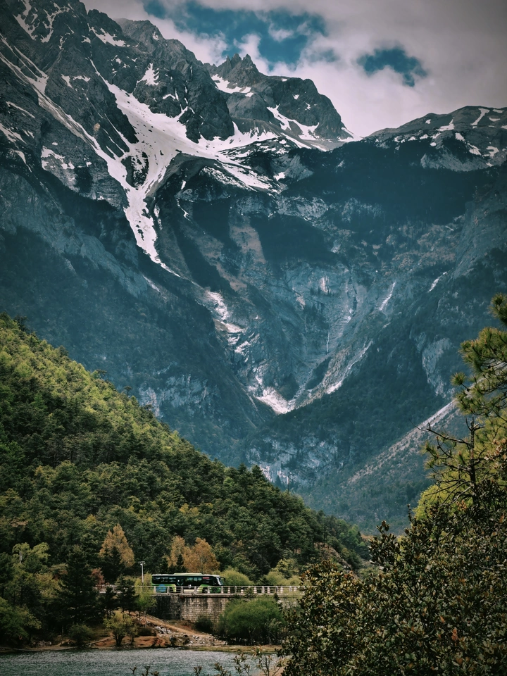 雪山下的森林大道