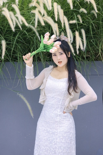 狗尾巴草