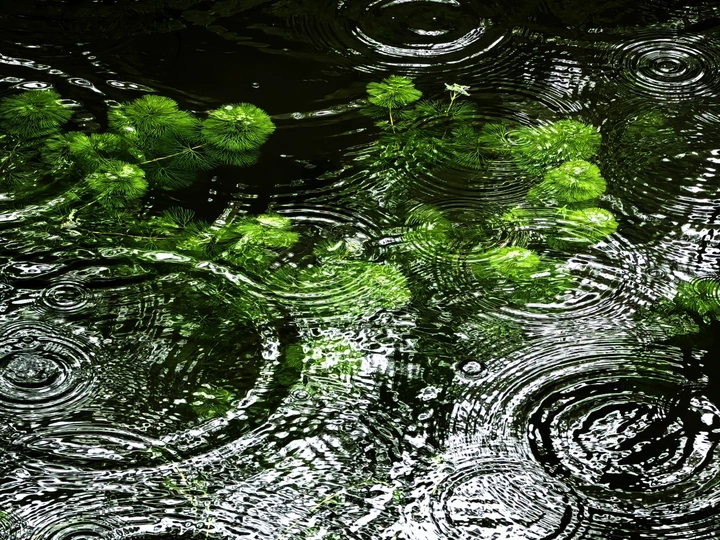 幽水涟漪