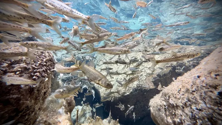 高原之上·水面之下