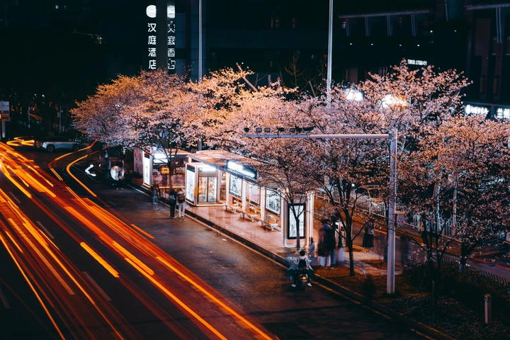 樱轨织梦·光谷夜未央|樱花车站