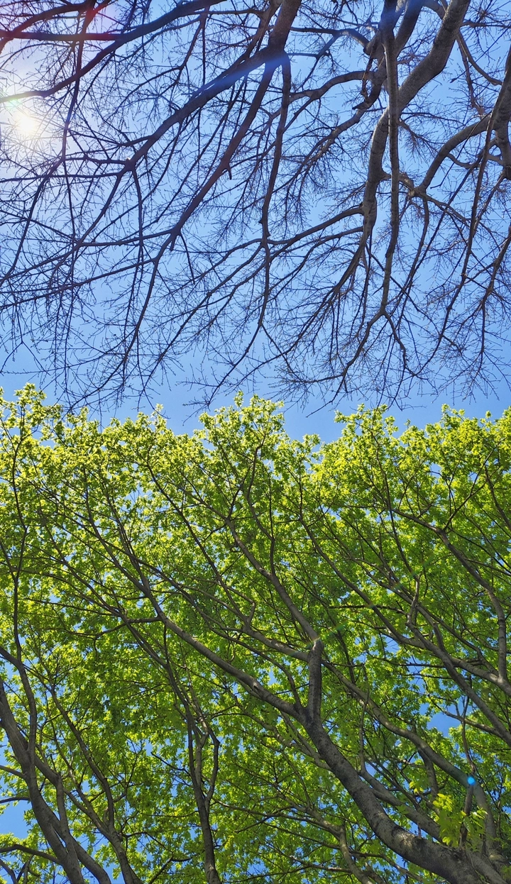 泾渭分明