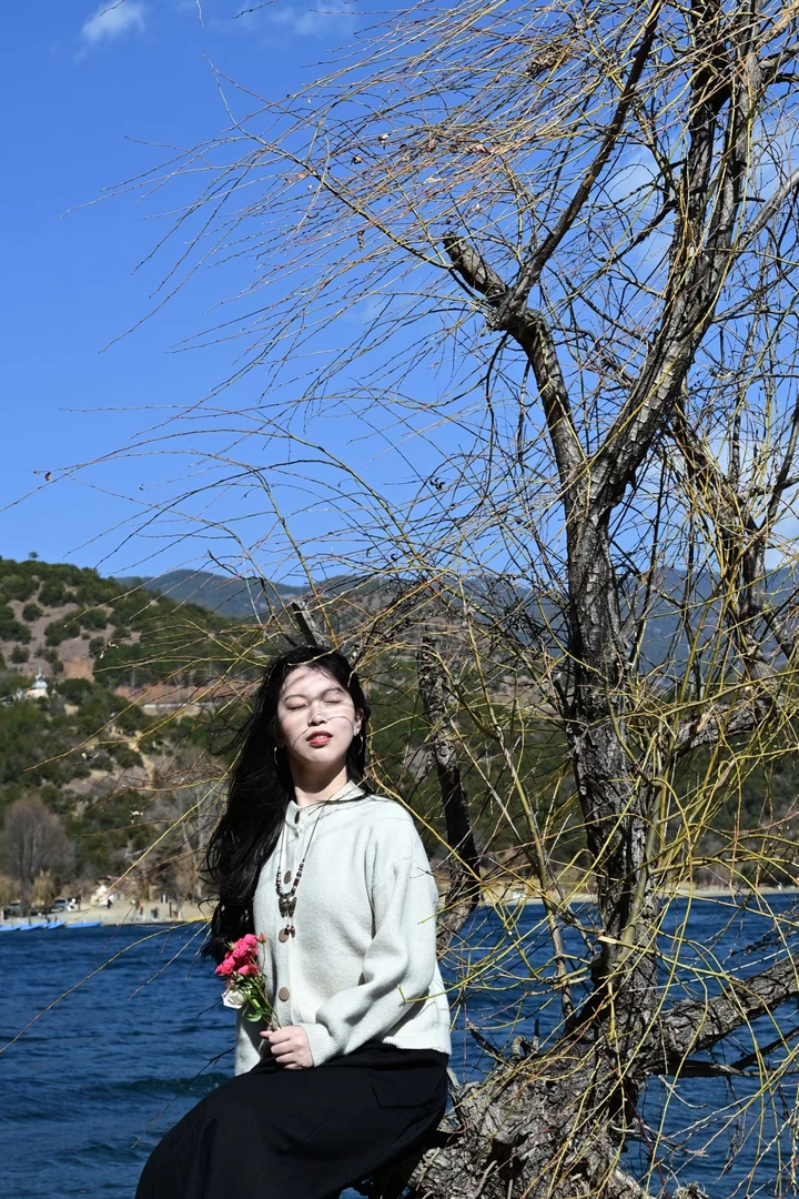 春风拂面