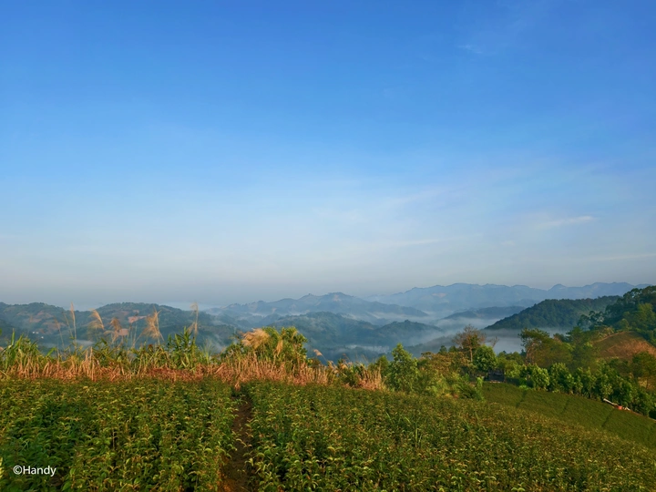 大山里迷人的风景