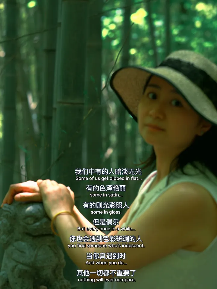 五月的茶园