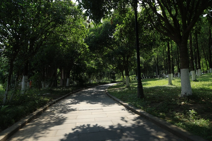 又是一个艳阳天