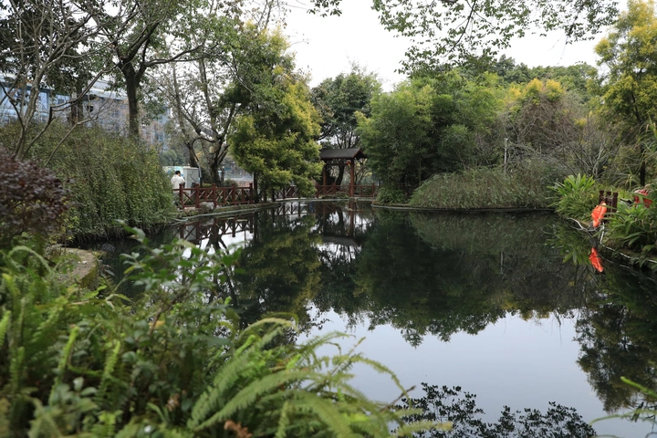 百花潭公园
