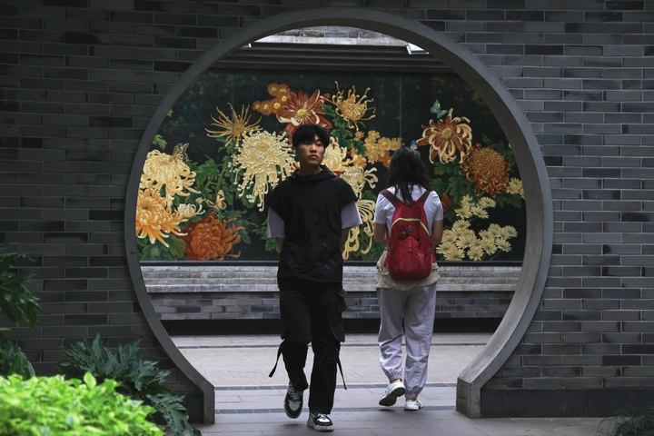 菊园里的故事